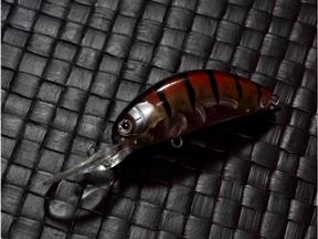 FISH.IMAGE 探索 065