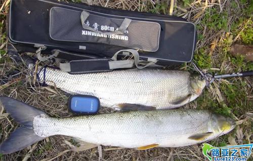 天热了，大家爱显摆，我也显摆下吧