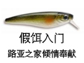 路亚学堂：认识各种假饵