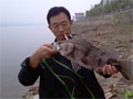 2011.10.20 长江边上大鳜