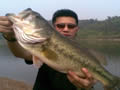 个人在重庆境内最大BASS出水