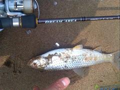 “梦”的开始，探钓算是成功吧