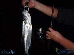 回忆录之本月第二篇