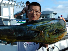 三亚981鏖战金枪