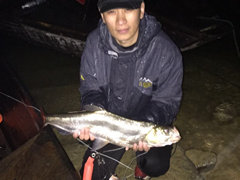 风雨夜中巨翘——小菜鸟有大运气