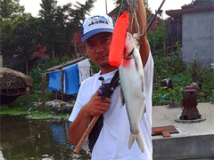 “翼”动的心 初夏路亚