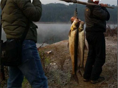 我的轻舞季（多图多字慎入）