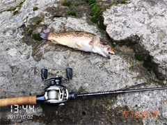 渔歌的钓行日记—那些令我峰回路转的斑鳜