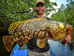 巴布亚四王子岛探钓队友及钓况