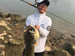 2017年西江大鱤出水！！！