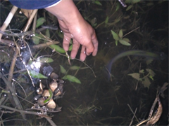 年后首钓，中规中矩&坑爹的新钓位试钓