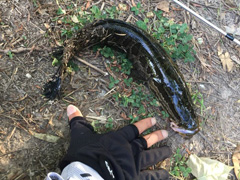 出不出门撸靠兴趣，上不上得鱼靠信仰。