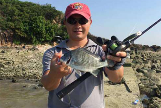 米诺上黑鲷－念念不忘，必有回响