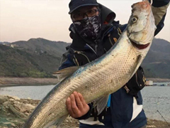 五千里征战红水河，2017Gofun路野最后一战