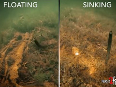 两种不同操作（面包虫）的无铅姿态