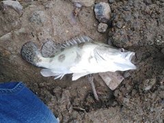 自己的路，孤独的路自己来路，路亚随心感悟