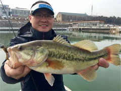 破冰钓鲈——冬季钓鲈小结