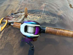 烟花三月下贺州，探钓龟石水库