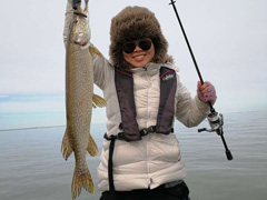 夫妻双双中pike（白斑狗鱼），有中鱼全程视频！