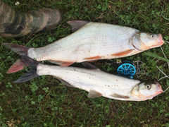 五一露营之意外收获