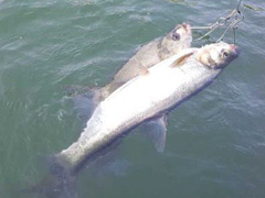 五一已过，今年的五一又是满载而归