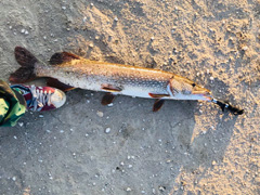 意想不到的钓点 收获