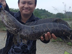 雷强钓法的再次总结